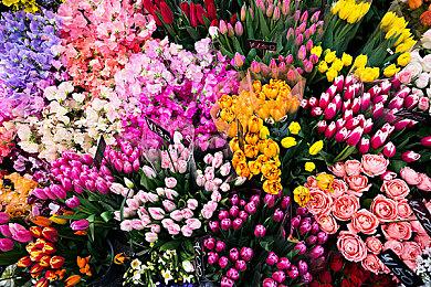 《全面战争: 战锤3》奥斯坦基娅嬷嬷玩法展示 DLC8月31日推出