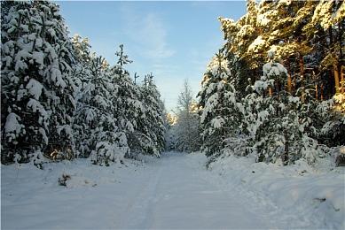 80年代动漫摩托公路激战 PSVR2版《RUNNER》公布